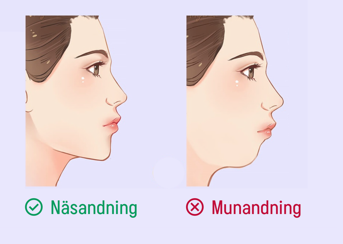 Vad du behöver veta om munandning