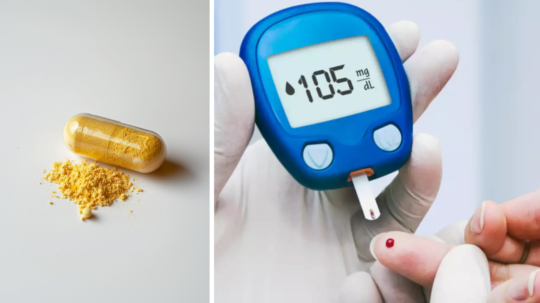 Berberine powder and blood glucose monitor